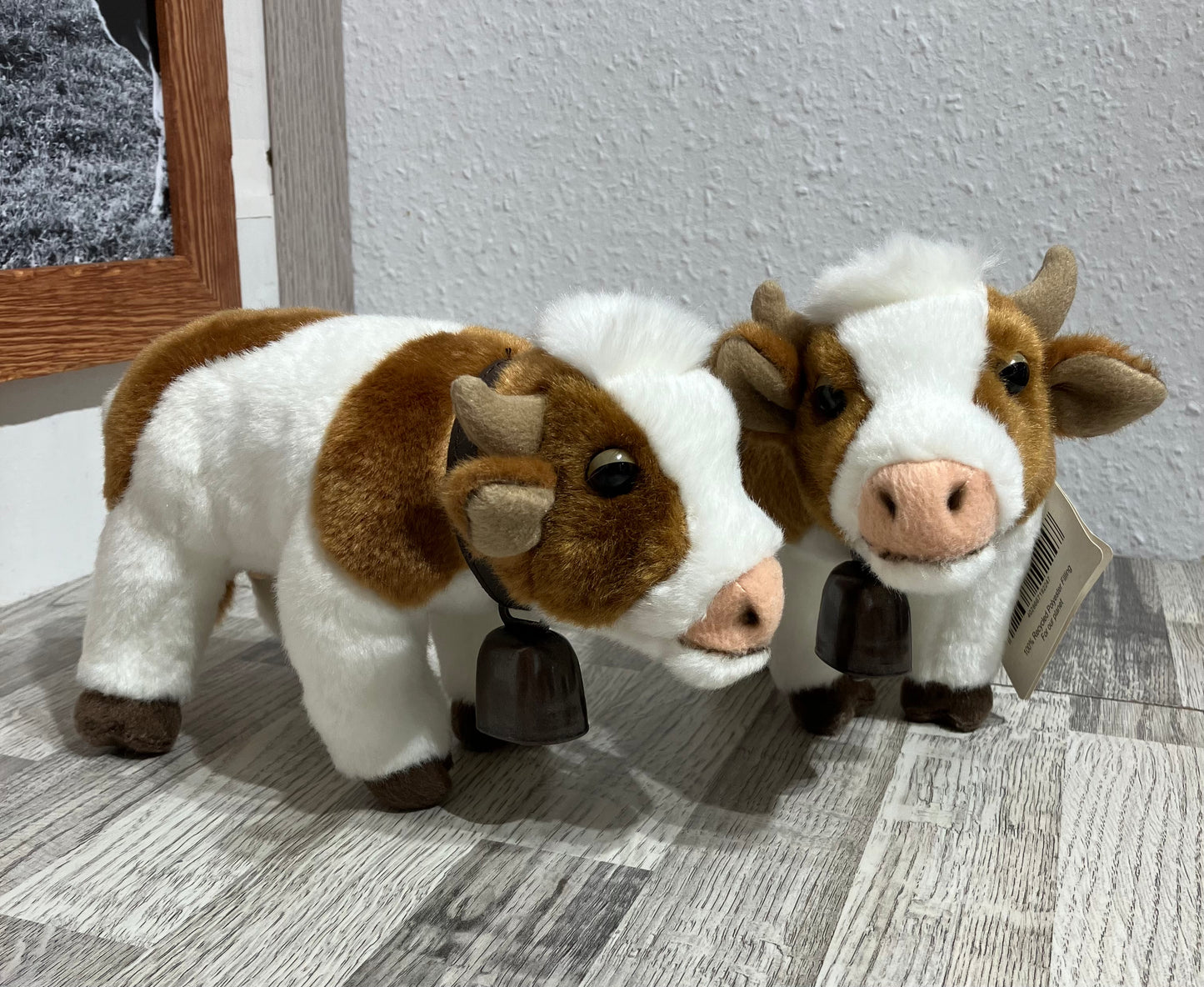 Kuh Weiss/Braun mit Glocke