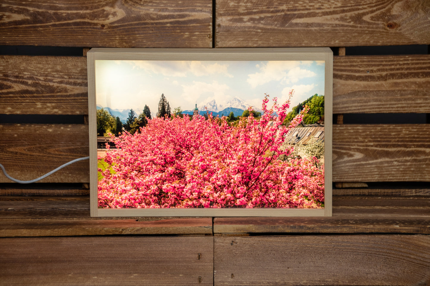 LED Box Berchtesgaden Kirschblüte