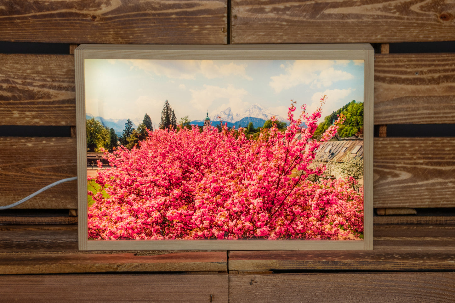 LED Box Berchtesgaden Kirschblüte
