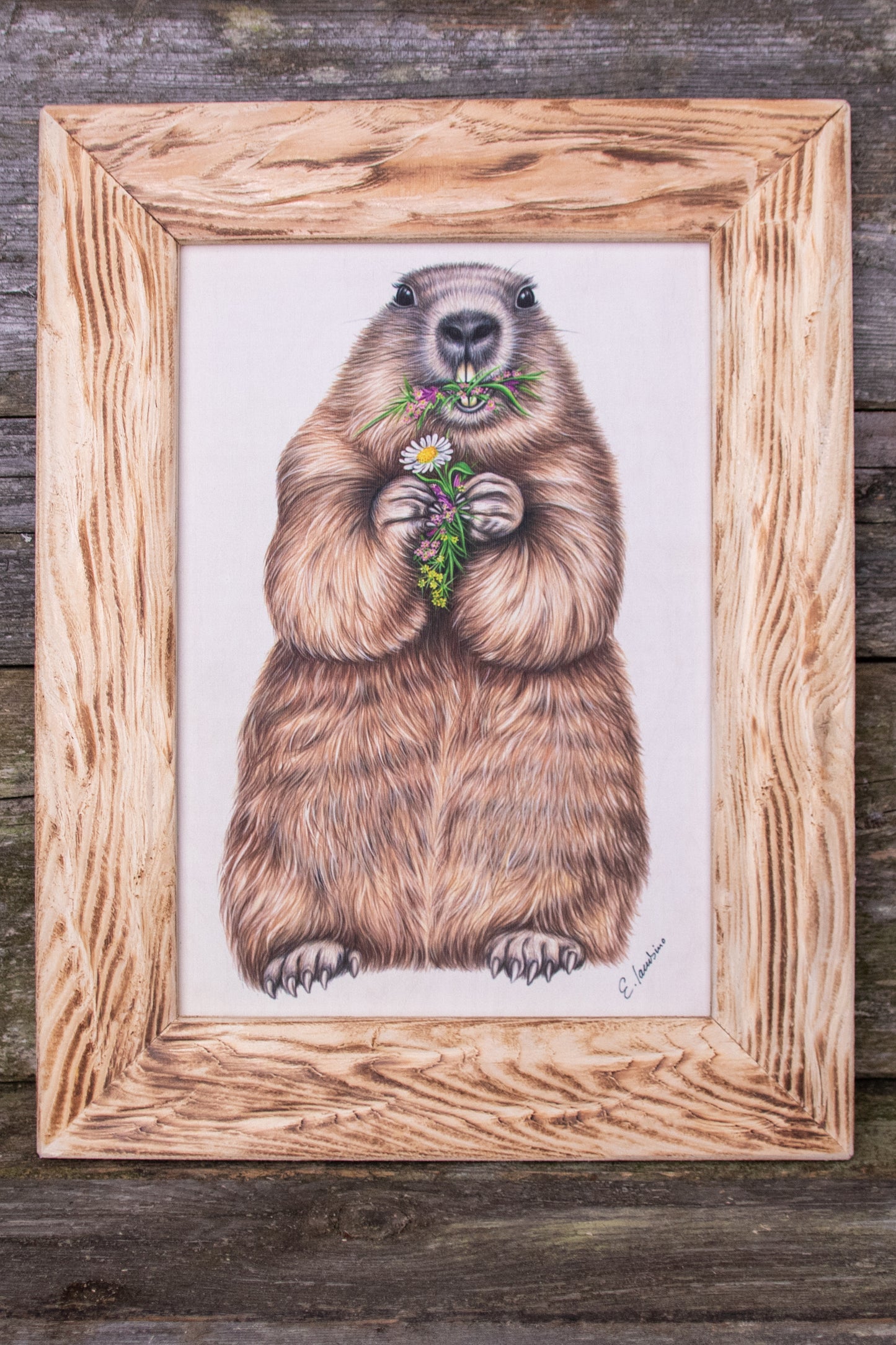 Bedruckte Holztafel Murmeltier