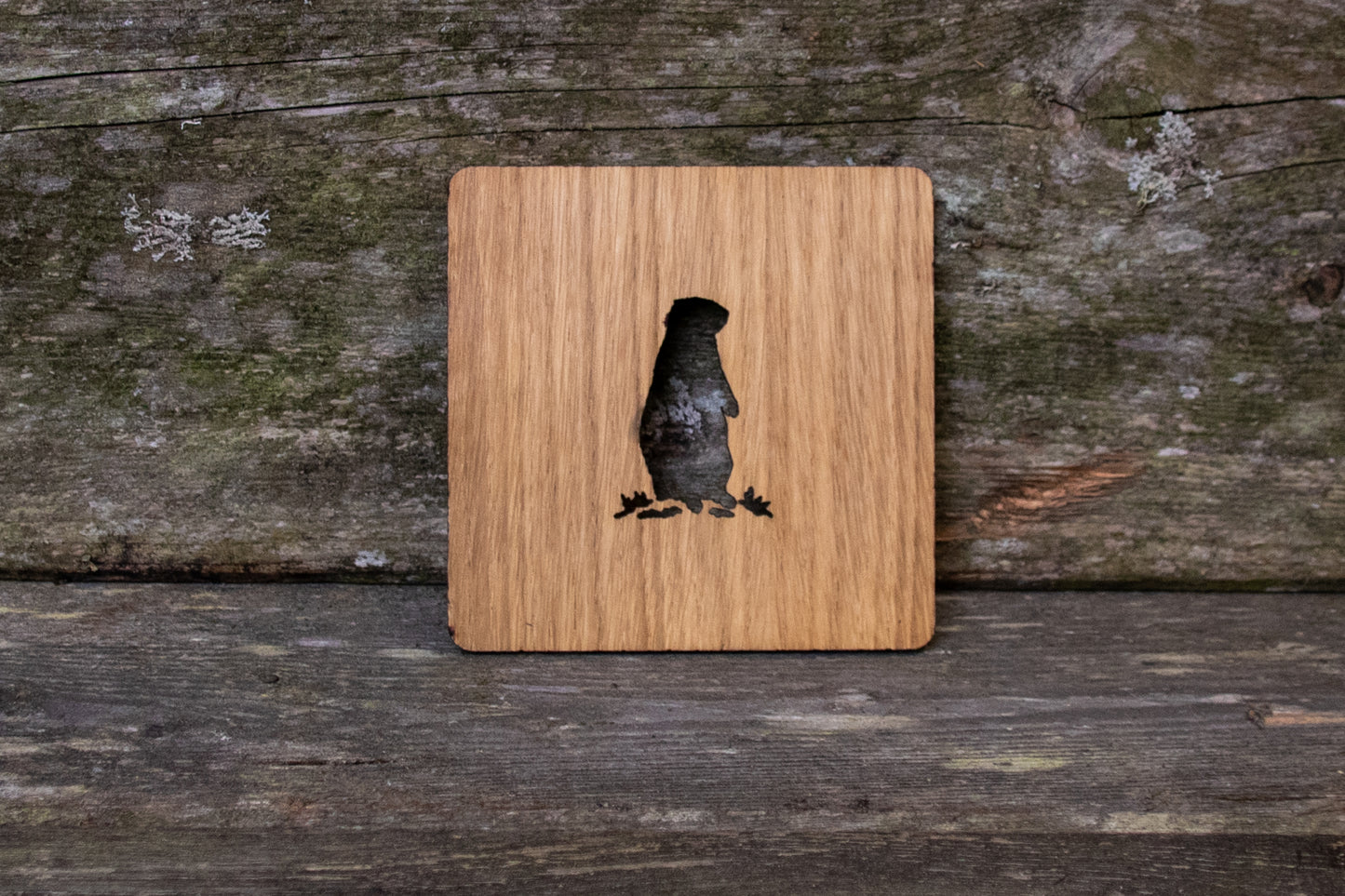 Holz Untersetzer Murmeltier