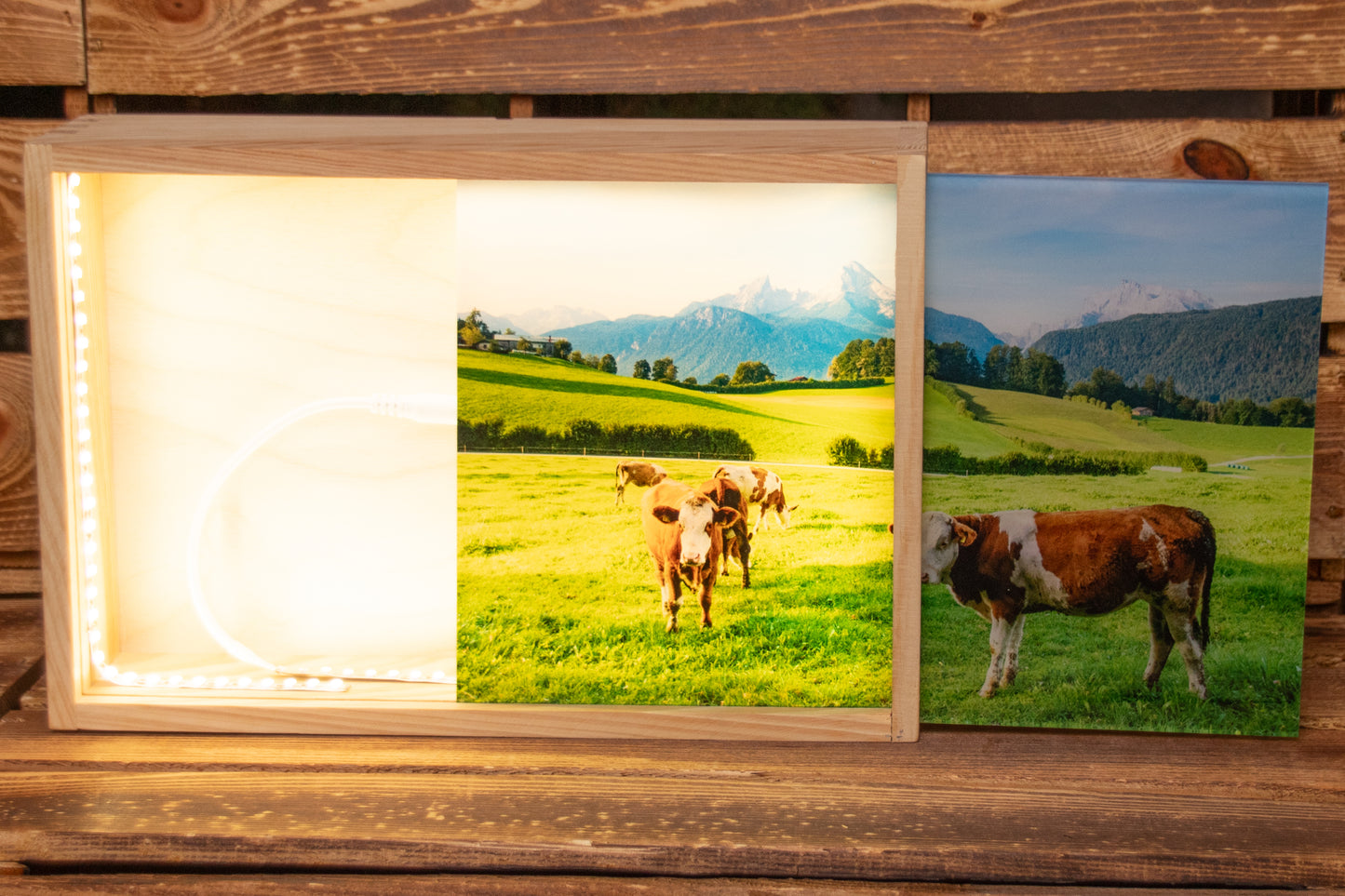 LED Box Watzmann Kühe