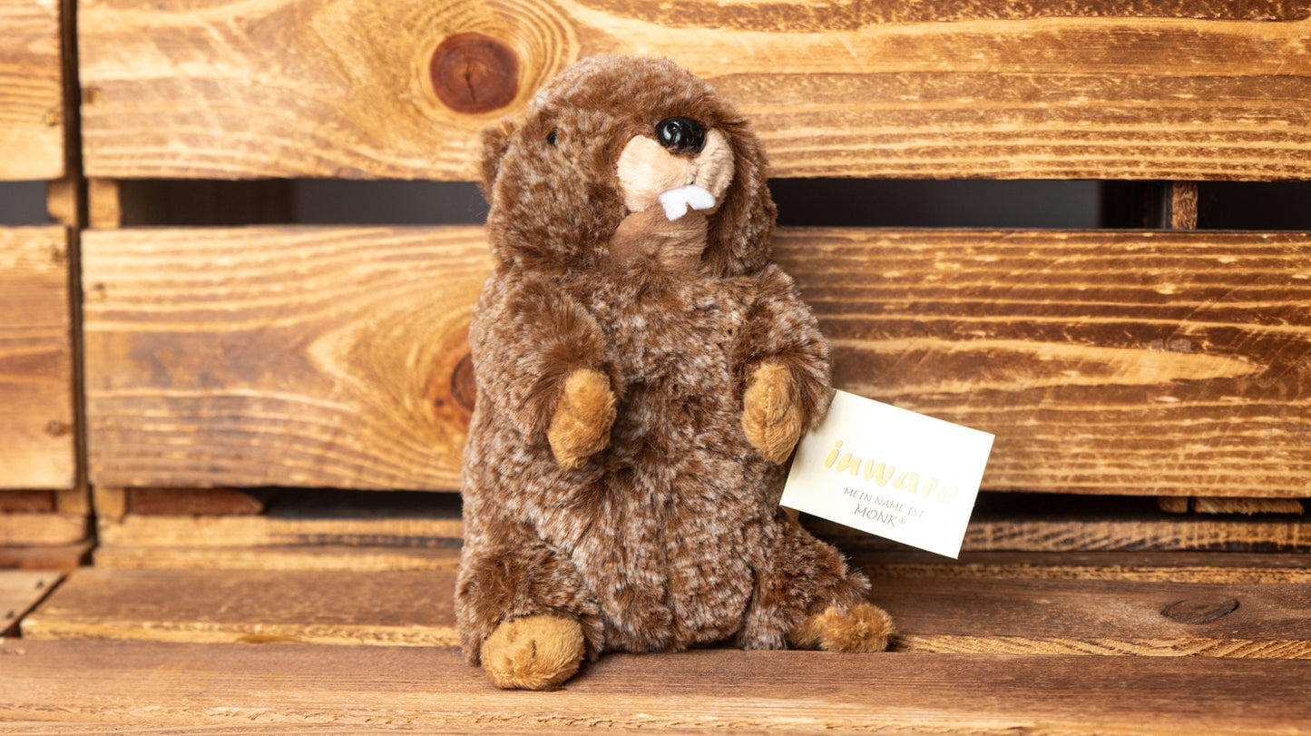 Murmeltier Flauschig Braun