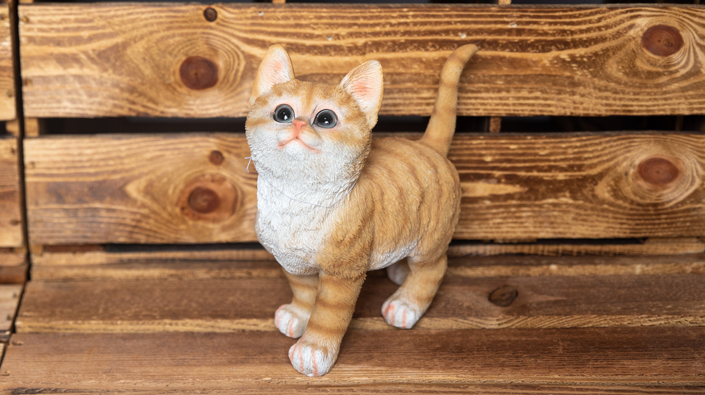 Katze