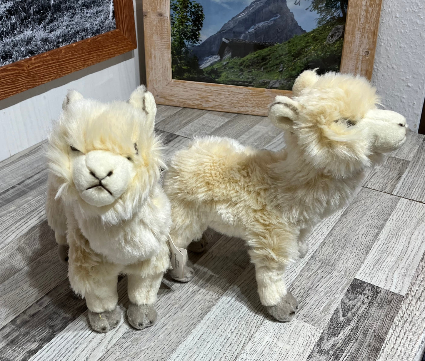 Alpaka