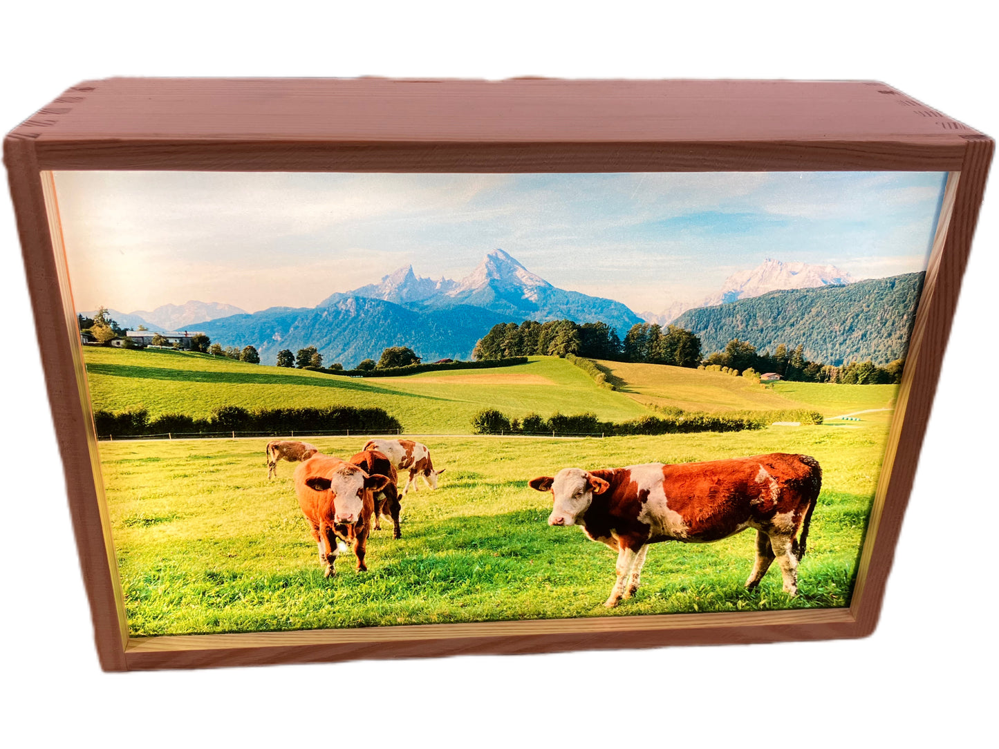 LED Box Watzmann Kühe