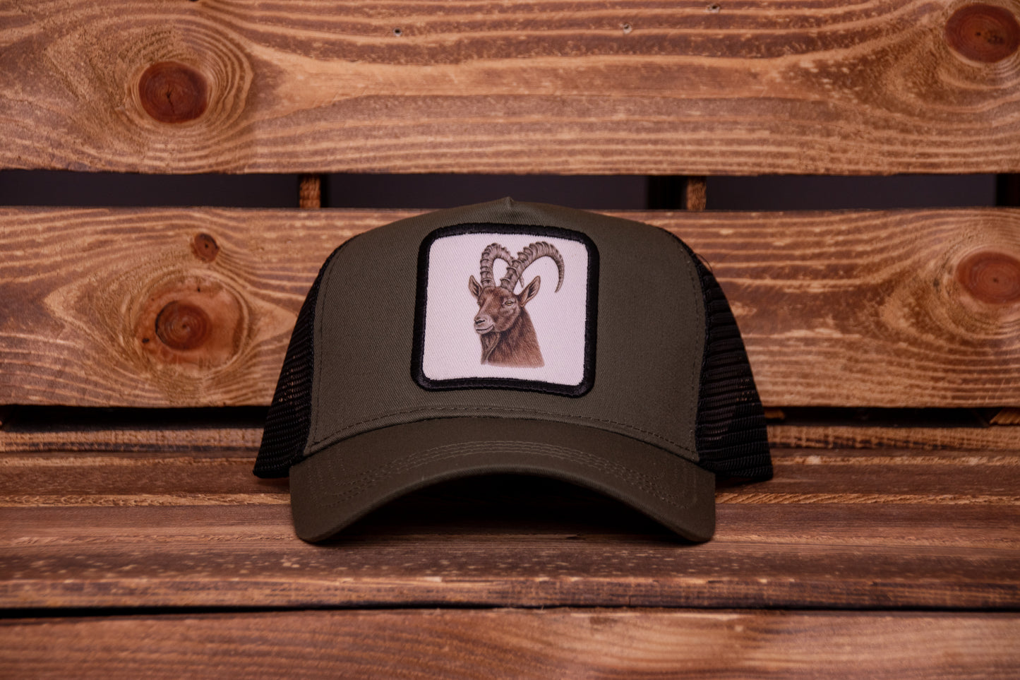 Cap Steinbock