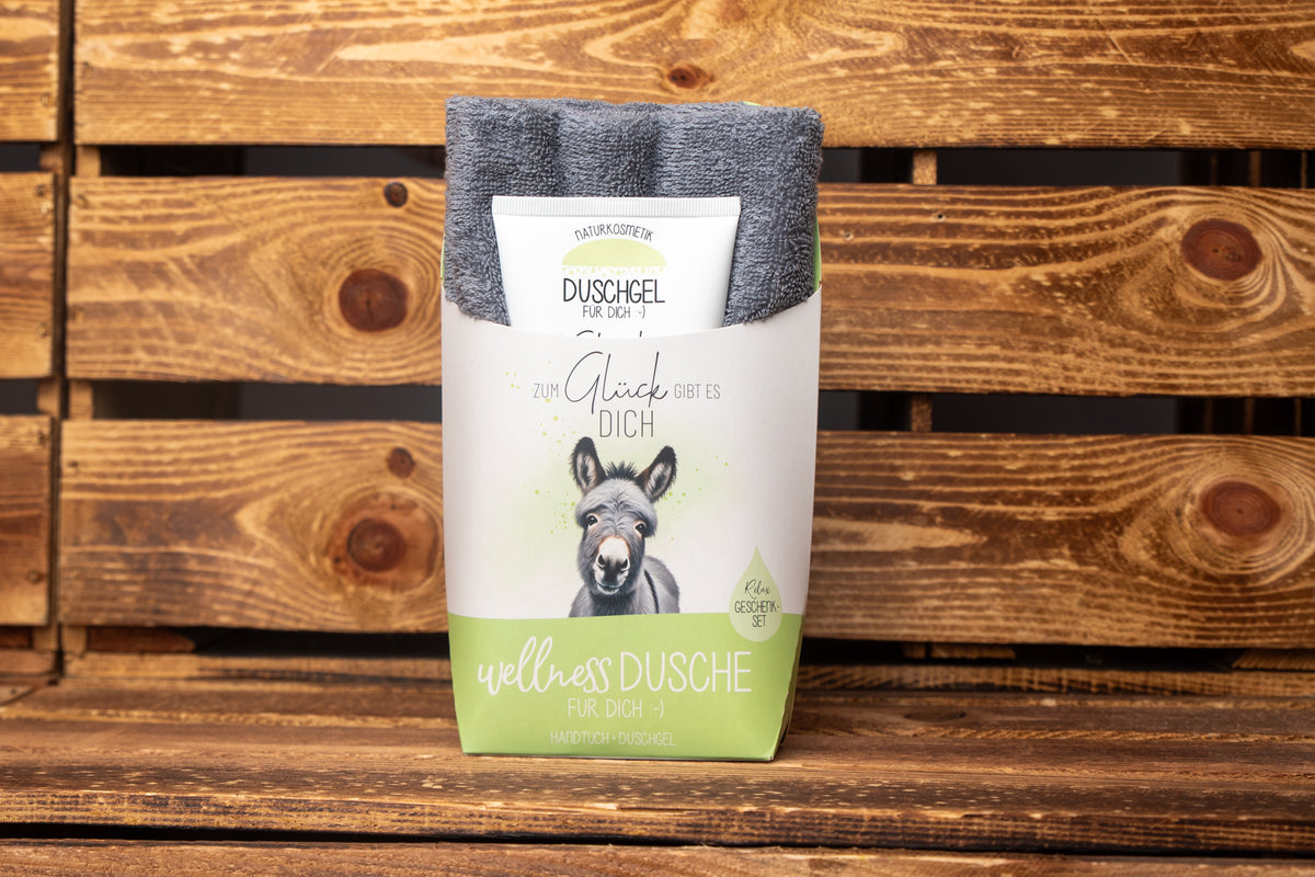 Wellness Dusche