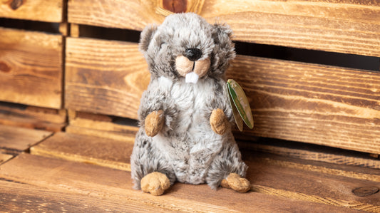 Murmeltier Flauschig Grau