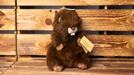 Murmeltier langes Fell