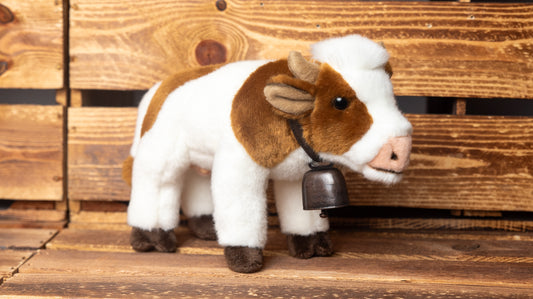 Kuh Weiss/Braun mit Glocke