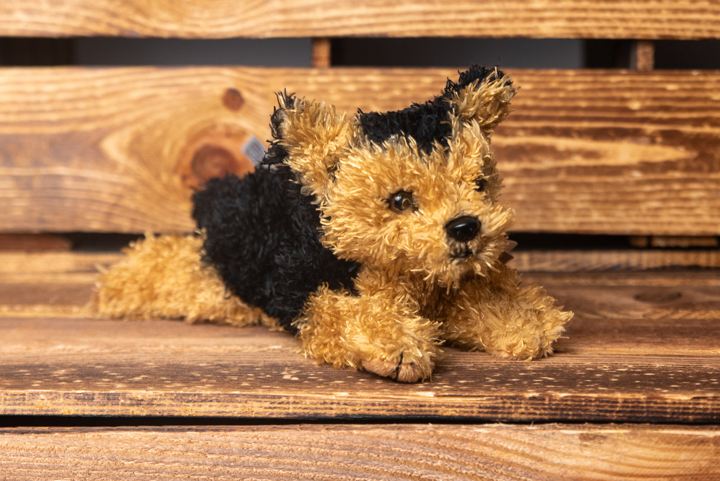 Yorkshire Terrier 21cm