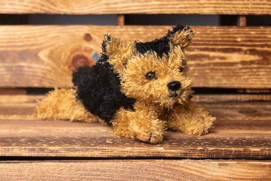 Yorkshire Terrier 21cm