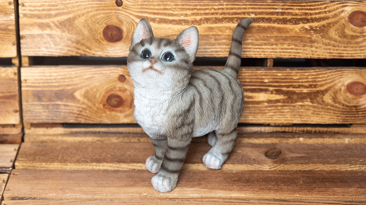 Katze